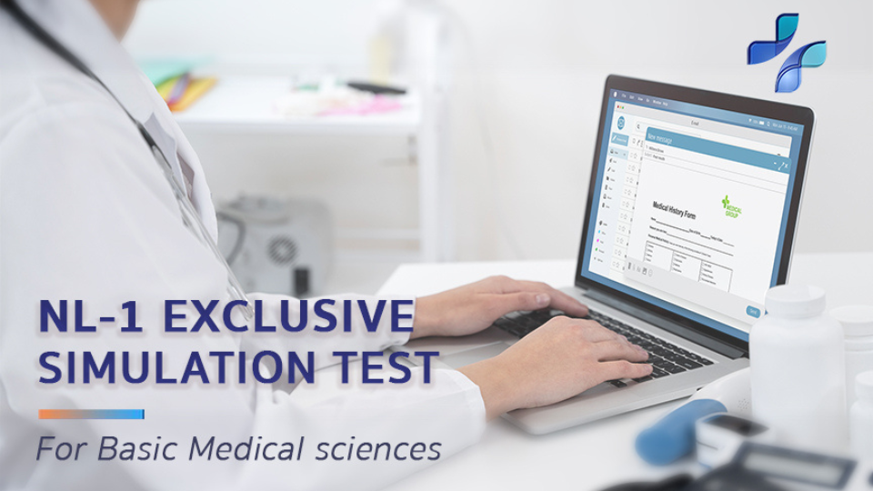 NL1 - Exclusive Simulation Test